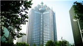 洛陽(yáng)開(kāi)元礦業(yè)集團(tuán)有限公司，始成立于2006年，主營(yíng)業(yè)務(wù)涵蓋礦產(chǎn)品貿(mào)易、礦山開(kāi)發(fā)、酒店服務(wù)、房地產(chǎn)開(kāi)發(fā)和金融投資等，集團(tuán)位于洛陽(yáng)市開(kāi)元大道世貿(mào)中心；中國(guó)民主建國(guó)會(huì)會(huì)員、青年企業(yè)家許明月先生是公司創(chuàng)始人和實(shí)際控制人，目前任洛陽(yáng)開(kāi)元礦業(yè)集團(tuán)有限公司董事長(zhǎng)兼總經(jīng)理。